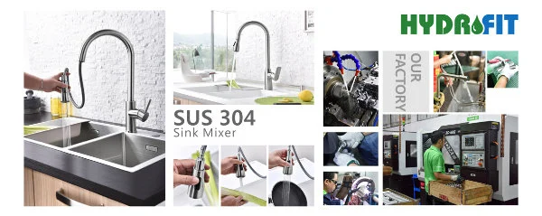 Pull out Down Hot Cold Matte Black Sink Mixer Stainless Steel 304 Faucet Economical Kitchen Mixer Lead Free American Style Kitchen Faucet (FT1144D)